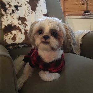 Meet your Posher, Cindy